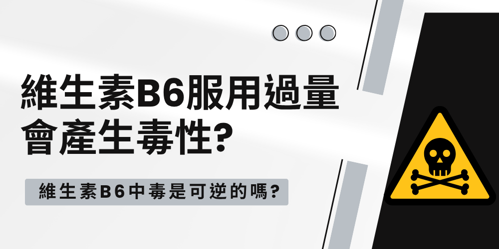 未命名設計 - 2026-09-04T163451.729